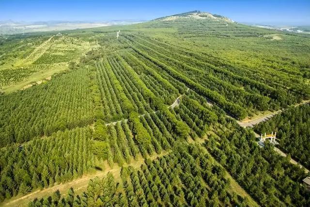 58万亩的基础上,2022年安排年度营造林任务540万亩,其中人工造林339.