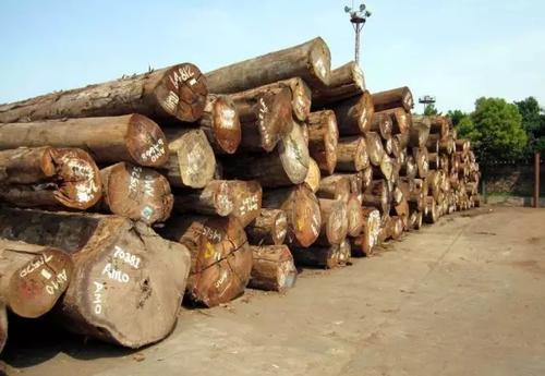 过去10年中巴西硬木产品的产量减少了近7成