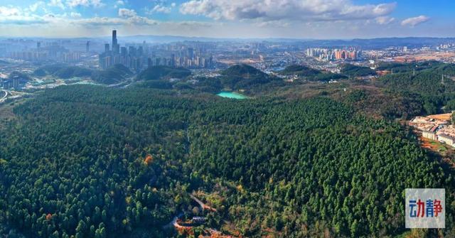 贵阳市将启动贵阳市环城林带森林质量精准提升工程,通过人工纯林改造